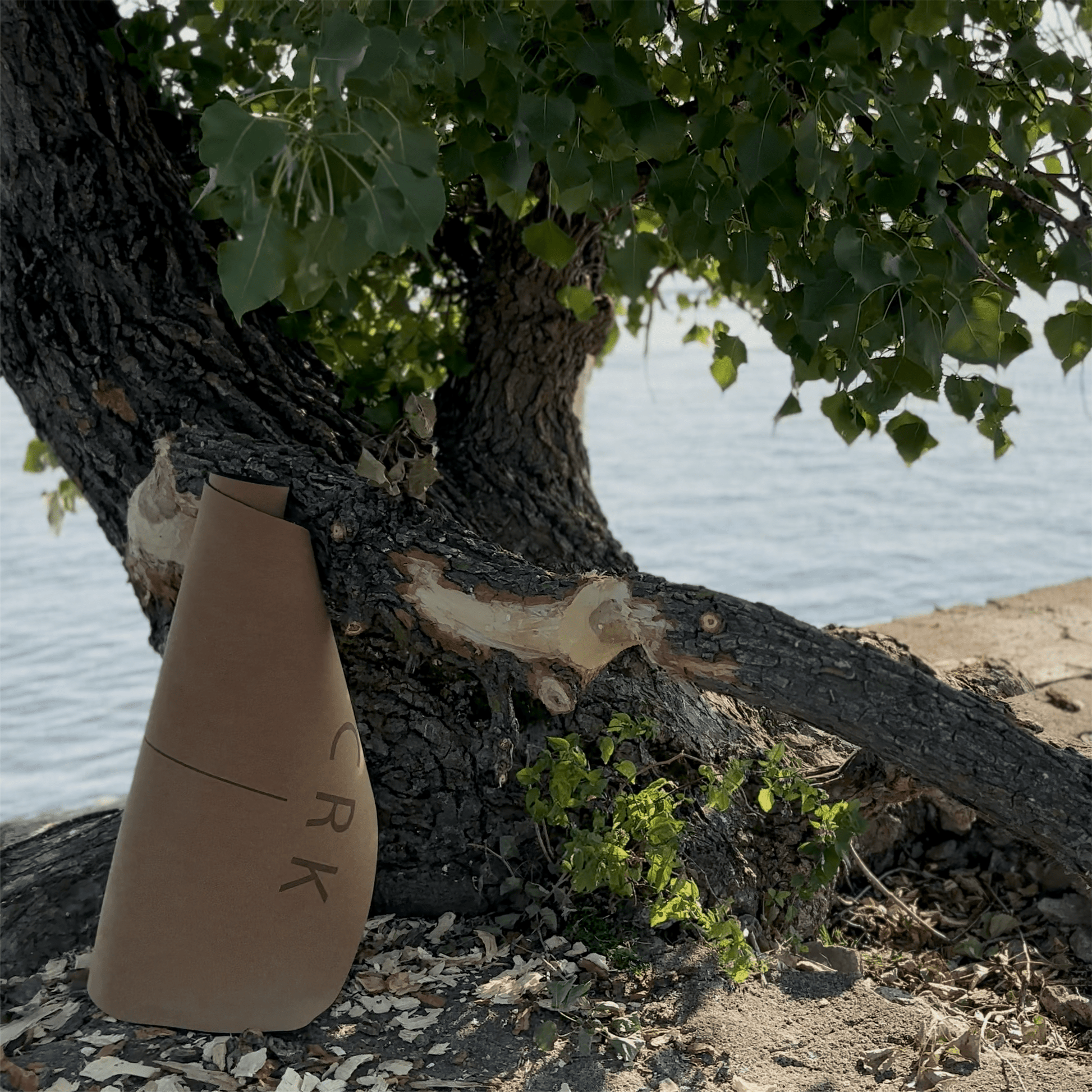 The Standard Mat • 4mm Thick, Organic Cork Yoga Mat with Natural Rubber, Begin Yoga - Crk